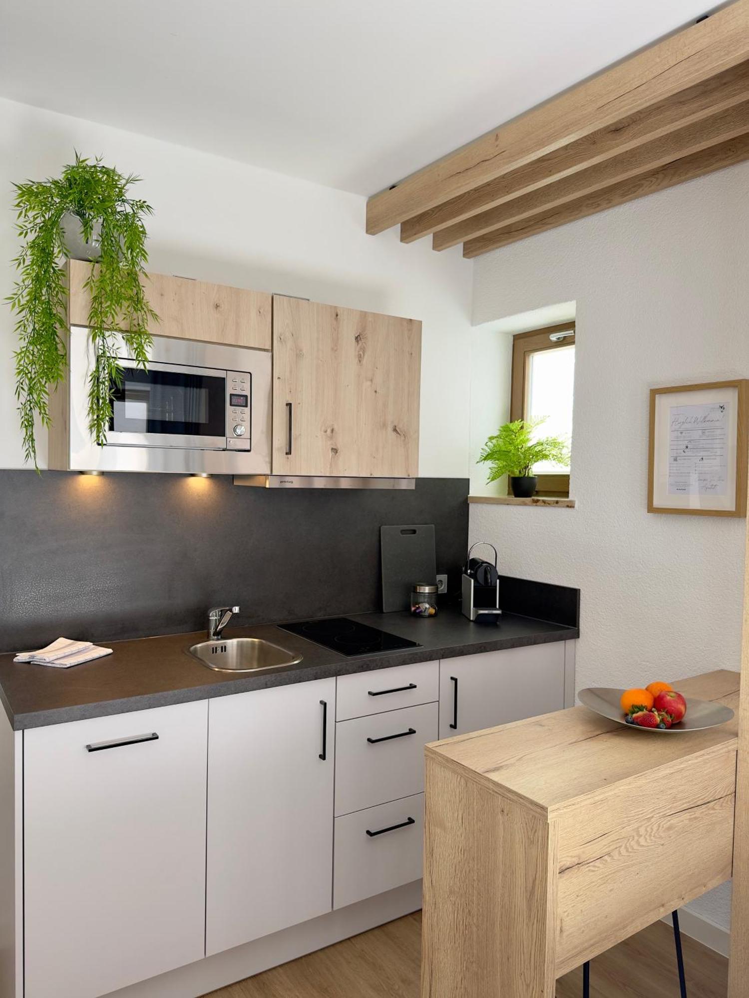 Living & Serviced Apartments By Blauer Wolf Gunzenhausen Exterior foto